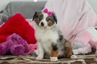 processed/2c395ba8-8410-47d9-a5b1-5deedf5b42b1/listing/15d29561-57b2-459c-b8e6-48c8913eabef/1b365a29-2c4f-442a-8998-02a12e6c958e