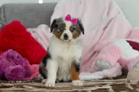 processed/2c395ba8-8410-47d9-a5b1-5deedf5b42b1/listing/15d29561-57b2-459c-b8e6-48c8913eabef/23c48f76-f506-4a3f-9e80-2306beb21a25