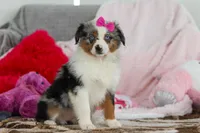 processed/2c395ba8-8410-47d9-a5b1-5deedf5b42b1/listing/15d29561-57b2-459c-b8e6-48c8913eabef/324a48bb-10bc-46cc-83cc-d7089a13c734