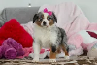 processed/2c395ba8-8410-47d9-a5b1-5deedf5b42b1/listing/15d29561-57b2-459c-b8e6-48c8913eabef/ac7ad373-c004-4e08-8dcf-66d478c98d12