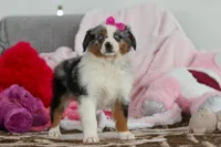 processed/2c395ba8-8410-47d9-a5b1-5deedf5b42b1/listing/15d29561-57b2-459c-b8e6-48c8913eabef/e16590bf-a8a8-465c-b94b-28106b9a5d7f