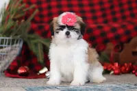 processed/2c395ba8-8410-47d9-a5b1-5deedf5b42b1/listing/19e99588-0a19-4178-9f62-bab1dd6579ab/66c6a030-f72b-4bcf-8a11-6a53c01ef877