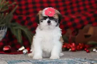 processed/2c395ba8-8410-47d9-a5b1-5deedf5b42b1/listing/19e99588-0a19-4178-9f62-bab1dd6579ab/8b41d1be-6173-4e23-827b-6f5ee9042344