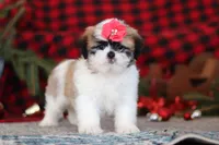 processed/2c395ba8-8410-47d9-a5b1-5deedf5b42b1/listing/19e99588-0a19-4178-9f62-bab1dd6579ab/bc91b9a7-ee49-4856-baba-c5737808bd5d