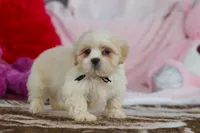 processed/2c395ba8-8410-47d9-a5b1-5deedf5b42b1/listing/3e946db7-842c-4e22-a05a-9eca2d2913b1/6c6e46ca-933b-48db-b7ad-3bb3d9259053