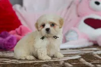 processed/2c395ba8-8410-47d9-a5b1-5deedf5b42b1/listing/3e946db7-842c-4e22-a05a-9eca2d2913b1/80b88291-9e1b-47ea-8a8a-73a1198618ee