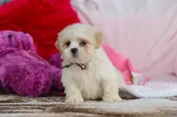 processed/2c395ba8-8410-47d9-a5b1-5deedf5b42b1/listing/3e946db7-842c-4e22-a05a-9eca2d2913b1/97ff2bb2-a288-4a2c-a542-0f9c40546267