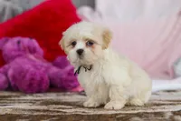 processed/2c395ba8-8410-47d9-a5b1-5deedf5b42b1/listing/3e946db7-842c-4e22-a05a-9eca2d2913b1/ae5454cc-8fa2-4c91-8ffe-39f2c7f4d5c4