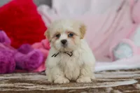 processed/2c395ba8-8410-47d9-a5b1-5deedf5b42b1/listing/3e946db7-842c-4e22-a05a-9eca2d2913b1/c1ec577c-8840-4206-bfb4-60ddc0c24056