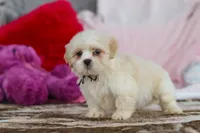 processed/2c395ba8-8410-47d9-a5b1-5deedf5b42b1/listing/3e946db7-842c-4e22-a05a-9eca2d2913b1/f1dca4dc-11c1-4506-b34e-03938346a8d4