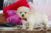 processed/2c395ba8-8410-47d9-a5b1-5deedf5b42b1/listing/6430f347-8b35-493b-aaaf-b7a8d8e31b71/153e13df-053b-4cff-a923-a459661f29a0