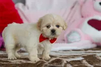 processed/2c395ba8-8410-47d9-a5b1-5deedf5b42b1/listing/6430f347-8b35-493b-aaaf-b7a8d8e31b71/6e1993e6-7ebb-4fca-bc10-620475c718fc