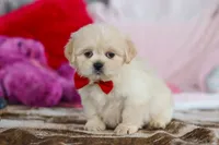 processed/2c395ba8-8410-47d9-a5b1-5deedf5b42b1/listing/6430f347-8b35-493b-aaaf-b7a8d8e31b71/85efe77c-4a68-46df-b6ec-0f33105c9998