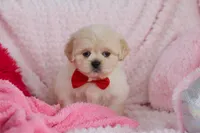 processed/2c395ba8-8410-47d9-a5b1-5deedf5b42b1/listing/6430f347-8b35-493b-aaaf-b7a8d8e31b71/8e6b2e73-782d-459d-bda4-d1f9ac510c44