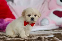 processed/2c395ba8-8410-47d9-a5b1-5deedf5b42b1/listing/6430f347-8b35-493b-aaaf-b7a8d8e31b71/8ed9c754-724f-4d17-91be-7cf1e00c8596