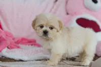 processed/2c395ba8-8410-47d9-a5b1-5deedf5b42b1/listing/6430f347-8b35-493b-aaaf-b7a8d8e31b71/dbf56ff8-1ef1-431c-a65a-1180201eef42