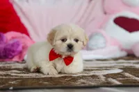 processed/2c395ba8-8410-47d9-a5b1-5deedf5b42b1/listing/6430f347-8b35-493b-aaaf-b7a8d8e31b71/dcb918c5-b73b-4e83-960c-da32822e4297