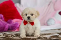 processed/2c395ba8-8410-47d9-a5b1-5deedf5b42b1/listing/6430f347-8b35-493b-aaaf-b7a8d8e31b71/fc57336a-d1ee-4d71-bbc0-e6274a2b1dd2