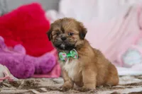 processed/2c395ba8-8410-47d9-a5b1-5deedf5b42b1/listing/7e4b61be-ecd8-4610-921f-161c210cf657/73dbc9f3-50cb-4aa4-bf3c-fc9ac8b6bf7b