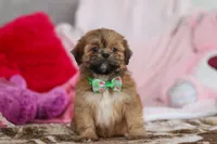 processed/2c395ba8-8410-47d9-a5b1-5deedf5b42b1/listing/7e4b61be-ecd8-4610-921f-161c210cf657/8e3e50d1-1f4d-409a-86c9-d99c4aac4d77