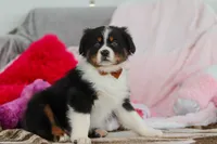 processed/2c395ba8-8410-47d9-a5b1-5deedf5b42b1/listing/833441e9-c856-4caf-abfe-9aa15e989a8c/41deb4f1-bf5c-4aa3-a992-996b49b0d85a