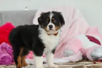 processed/2c395ba8-8410-47d9-a5b1-5deedf5b42b1/listing/833441e9-c856-4caf-abfe-9aa15e989a8c/e8f9ca80-03d5-4089-a7fa-e84e70093675