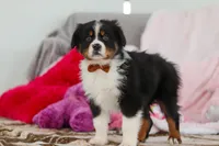 processed/2c395ba8-8410-47d9-a5b1-5deedf5b42b1/listing/833441e9-c856-4caf-abfe-9aa15e989a8c/fb4293e4-cc84-41f7-a7a3-1036d97c3aaf