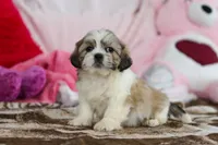 processed/2c395ba8-8410-47d9-a5b1-5deedf5b42b1/listing/abad18ad-1152-4ad1-9cd4-5776db31d861/819fc17b-d04d-4644-a09b-8e755c2224de