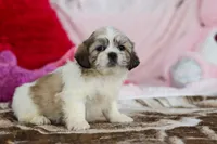 processed/2c395ba8-8410-47d9-a5b1-5deedf5b42b1/listing/abad18ad-1152-4ad1-9cd4-5776db31d861/d97d05de-9560-480a-b96e-fb926b3e6b2a