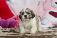 processed/2c395ba8-8410-47d9-a5b1-5deedf5b42b1/listing/abad18ad-1152-4ad1-9cd4-5776db31d861/e2e4171f-3668-4739-b0d4-1a71fda4d080