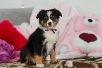 processed/2c395ba8-8410-47d9-a5b1-5deedf5b42b1/listing/b17e8bf1-4a2a-4398-bdbb-90b1f68c871c/52a019e3-315d-4d40-99ac-206f1cdb5621