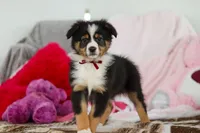 processed/2c395ba8-8410-47d9-a5b1-5deedf5b42b1/listing/b17e8bf1-4a2a-4398-bdbb-90b1f68c871c/a1baf4e3-a71e-4b53-8a0b-1aa21288c86f