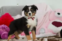 processed/2c395ba8-8410-47d9-a5b1-5deedf5b42b1/listing/b17e8bf1-4a2a-4398-bdbb-90b1f68c871c/b0681856-947d-41a2-b9db-d42accbe504a