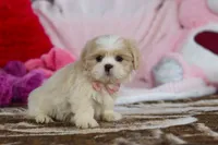 processed/2c395ba8-8410-47d9-a5b1-5deedf5b42b1/listing/bc6202ba-9ffb-435f-9205-358e2ad77b7c/0ef66127-8fef-4e4b-ad0d-0b06fc3ecdd1