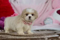 processed/2c395ba8-8410-47d9-a5b1-5deedf5b42b1/listing/bc6202ba-9ffb-435f-9205-358e2ad77b7c/34d7f636-b57d-46e0-9984-f60dd7942a65