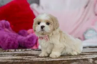 processed/2c395ba8-8410-47d9-a5b1-5deedf5b42b1/listing/bc6202ba-9ffb-435f-9205-358e2ad77b7c/57861022-0a7a-4740-a8ec-3956d8953ce7