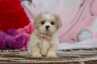 processed/2c395ba8-8410-47d9-a5b1-5deedf5b42b1/listing/bc6202ba-9ffb-435f-9205-358e2ad77b7c/a9d78dd8-db01-4383-a510-e1af3b6ac4c0