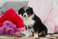 processed/2c395ba8-8410-47d9-a5b1-5deedf5b42b1/listing/ea311bd1-08a6-4c28-aee2-45f6c083406d/3998005d-eb8d-4422-8acb-0df7966bcd0f