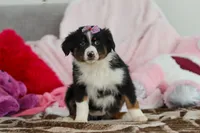 processed/2c395ba8-8410-47d9-a5b1-5deedf5b42b1/listing/ea311bd1-08a6-4c28-aee2-45f6c083406d/5834543f-0630-4ce9-9c16-f3d4cf6c32c2