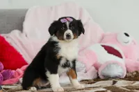 processed/2c395ba8-8410-47d9-a5b1-5deedf5b42b1/listing/ea311bd1-08a6-4c28-aee2-45f6c083406d/5894178d-c214-4d5e-b981-946f52fc7380