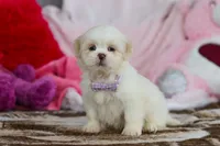 processed/2c395ba8-8410-47d9-a5b1-5deedf5b42b1/listing/ede345d2-5fa3-4be0-88e5-5df03cd21528/707c677c-d888-4469-9f21-9d83ca3a2ddb