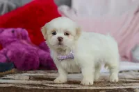 processed/2c395ba8-8410-47d9-a5b1-5deedf5b42b1/listing/ede345d2-5fa3-4be0-88e5-5df03cd21528/ba3b5834-e4f2-4c0b-aec9-a5d7597a4304