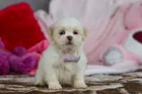 processed/2c395ba8-8410-47d9-a5b1-5deedf5b42b1/listing/ede345d2-5fa3-4be0-88e5-5df03cd21528/e7abf309-306f-4987-bd5a-b4eecd874fb9