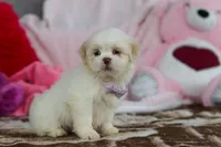 processed/2c395ba8-8410-47d9-a5b1-5deedf5b42b1/listing/ede345d2-5fa3-4be0-88e5-5df03cd21528/f5edb1ac-82d9-4569-b8e3-e33cba49482a