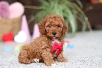 processed/2c3d7a10-4ec7-47fb-962d-dbd8dfb0c1a4/listing/47330181-0dcb-4456-a4b2-7b8826e0e489/49bc9a81-a04a-4266-b786-36245151502e