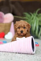 processed/2c3d7a10-4ec7-47fb-962d-dbd8dfb0c1a4/listing/aebc228c-6e76-4bf2-80a8-10970bd2294c/624169c4-f5e2-4609-9701-2b36e9649aa3