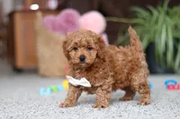 processed/2c3d7a10-4ec7-47fb-962d-dbd8dfb0c1a4/listing/aebc228c-6e76-4bf2-80a8-10970bd2294c/666447db-b1df-4ef5-81ae-f9eac59ad28a