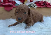 processed/2c444c77-168e-4e9d-a84b-4c64c544ef42/listing/2989ffb0-85cb-48d2-8304-76cb976ebb8b/82c7afbe-9a7d-410d-bd21-ca6ba2592adf