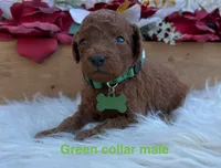 processed/2c444c77-168e-4e9d-a84b-4c64c544ef42/listing/b4581b2f-2f91-4abc-9aa5-36836cad6d04/278e9635-1a50-4bf4-bf86-19c4df7b6aed