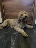 processed/2c444c77-168e-4e9d-a84b-4c64c544ef42/listing/b4581b2f-2f91-4abc-9aa5-36836cad6d04/a3d673cb-cd18-428a-b1d3-b7cfa71305c4